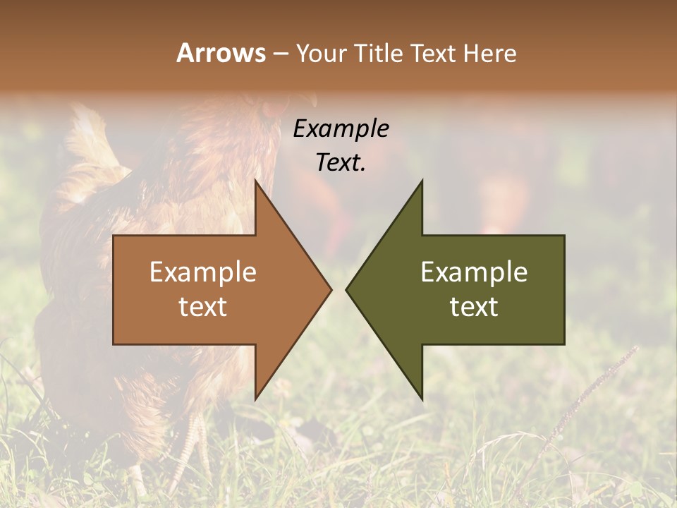 Home House Unit PowerPoint Template