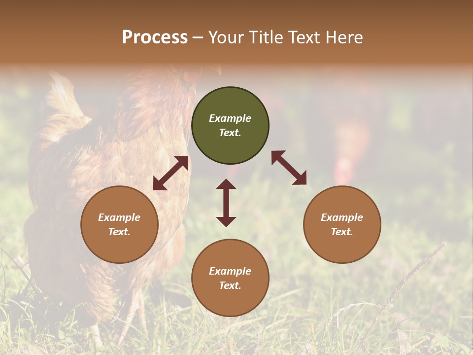 Home House Unit PowerPoint Template