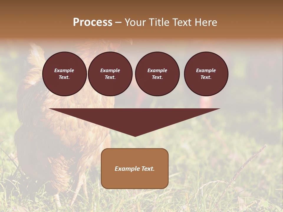 Home House Unit PowerPoint Template