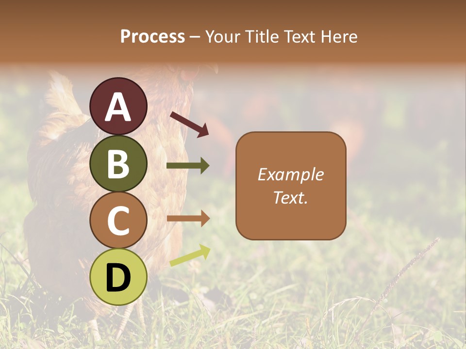 Home House Unit PowerPoint Template