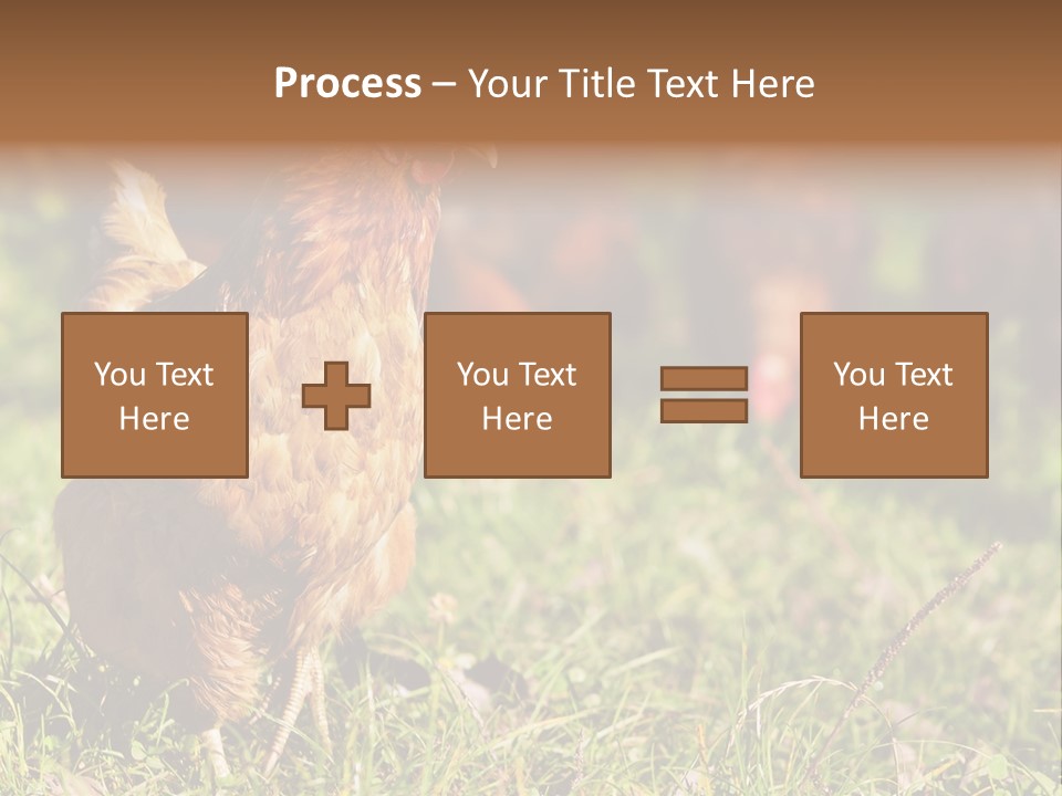Home House Unit PowerPoint Template