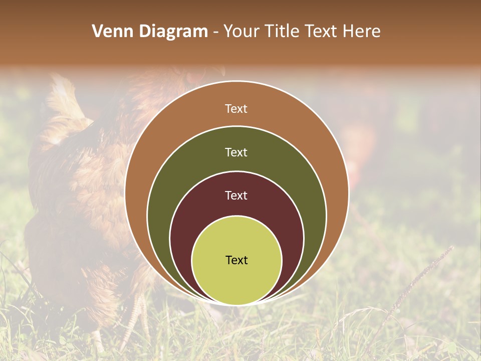 Home House Unit PowerPoint Template
