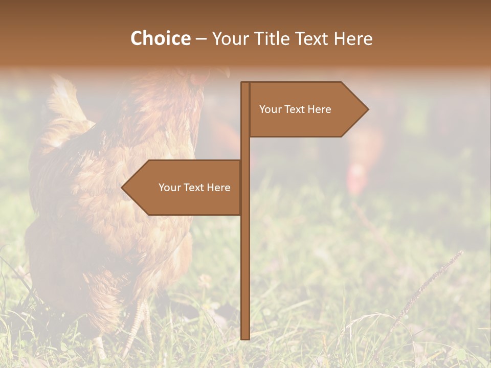 Home House Unit PowerPoint Template