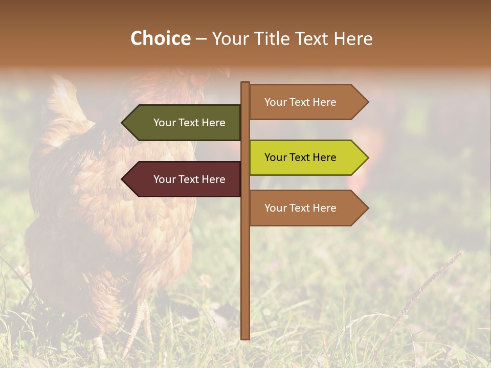 Home House Unit PowerPoint Template