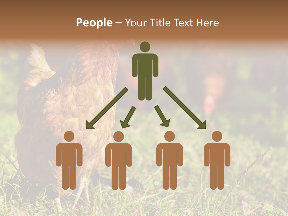 Home House Unit PowerPoint Template