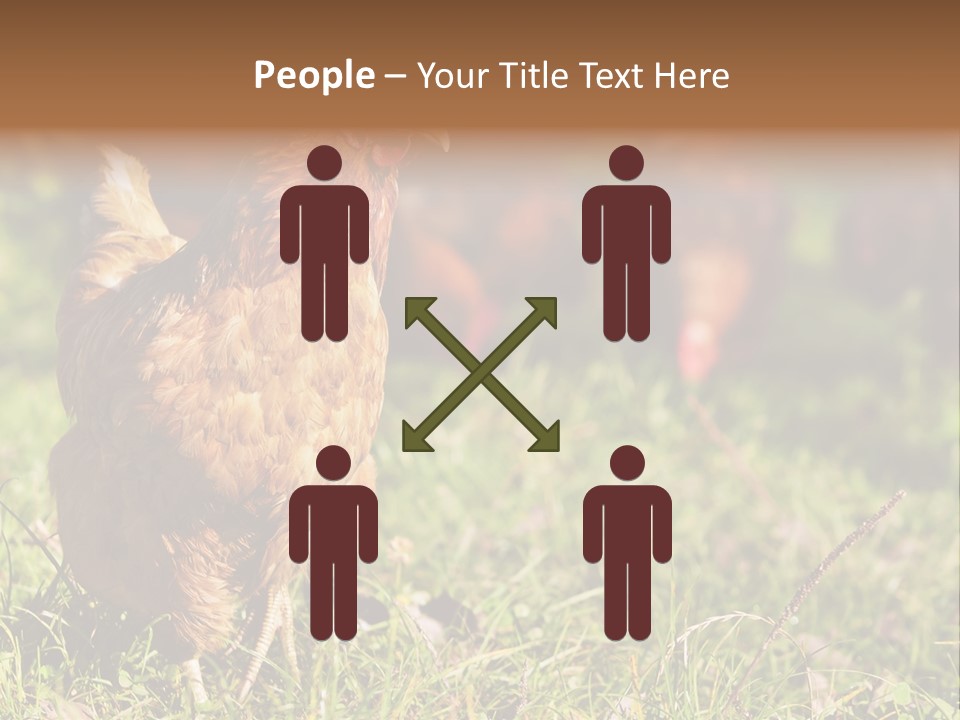 Home House Unit PowerPoint Template