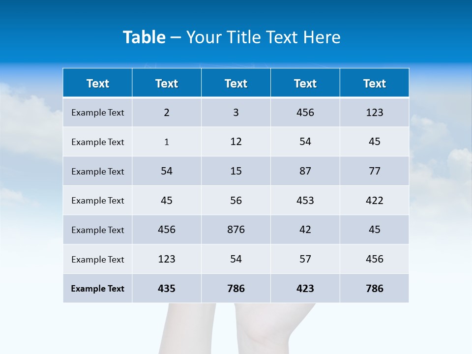 Wheel Shadow Model PowerPoint Template