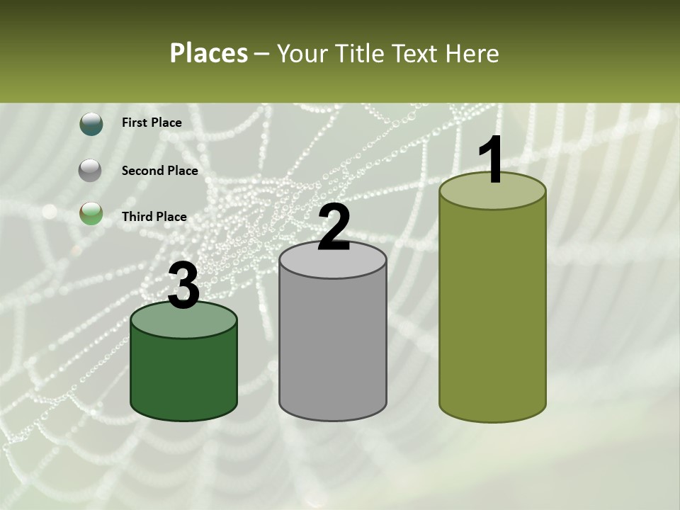 A Spider Web With Dew Drops On It PowerPoint Template