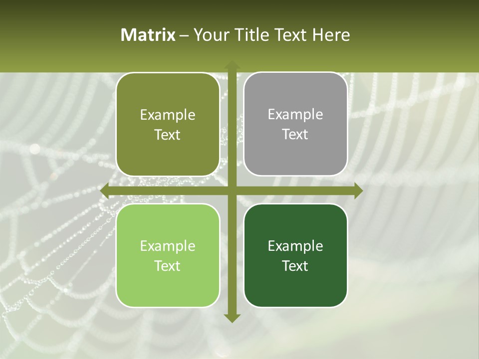 A Spider Web With Dew Drops On It PowerPoint Template