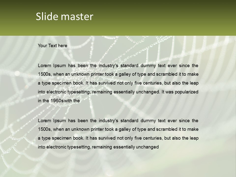 A Spider Web With Dew Drops On It PowerPoint Template