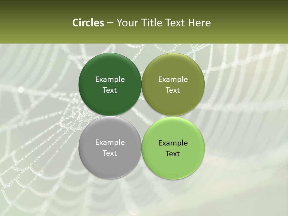 A Spider Web With Dew Drops On It PowerPoint Template