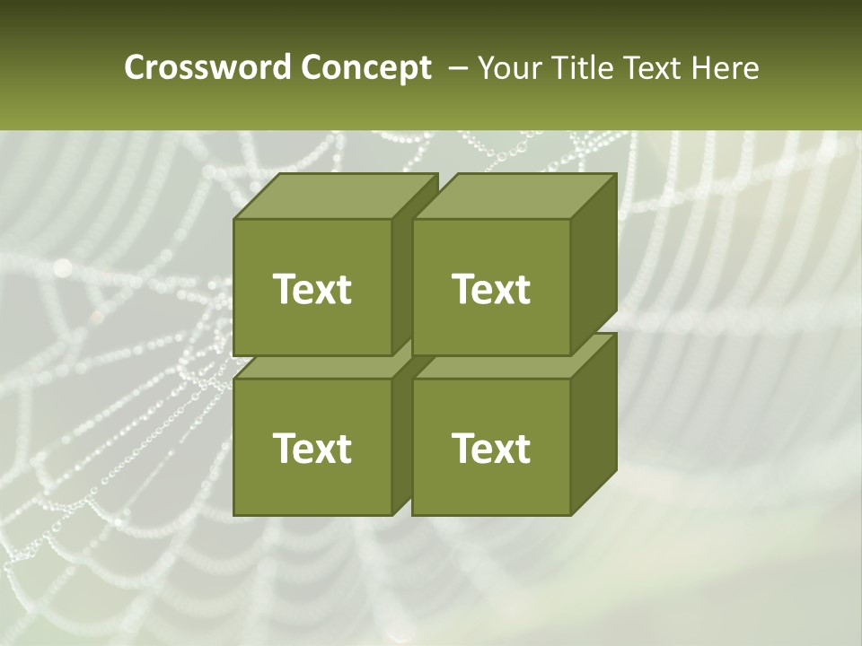 A Spider Web With Dew Drops On It PowerPoint Template