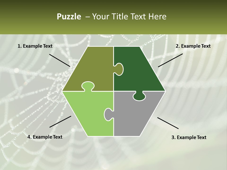 A Spider Web With Dew Drops On It PowerPoint Template