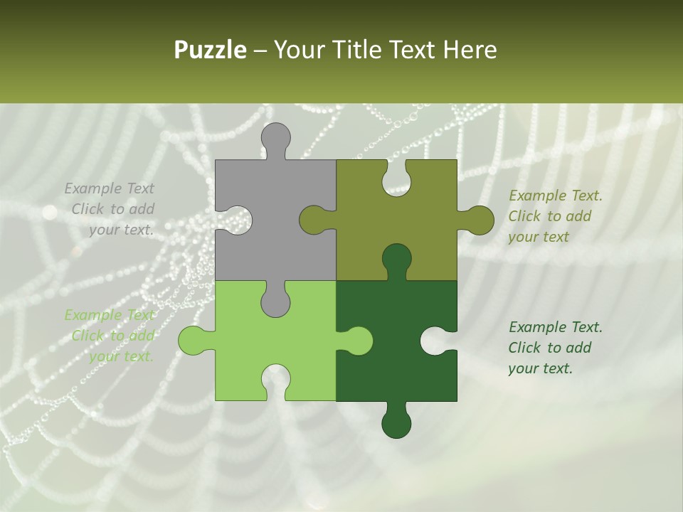 A Spider Web With Dew Drops On It PowerPoint Template