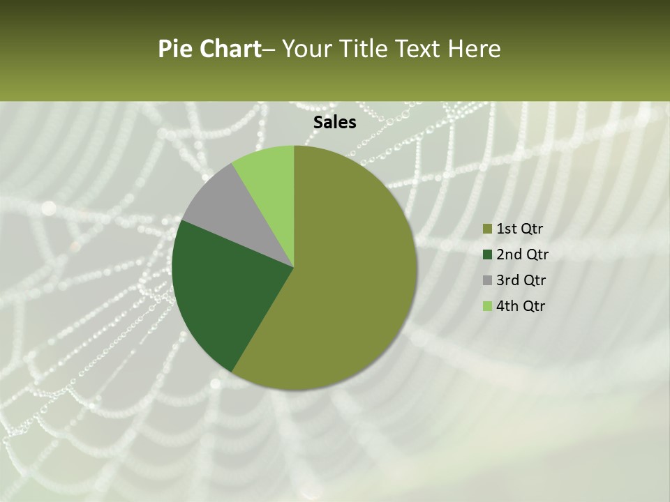 A Spider Web With Dew Drops On It PowerPoint Template