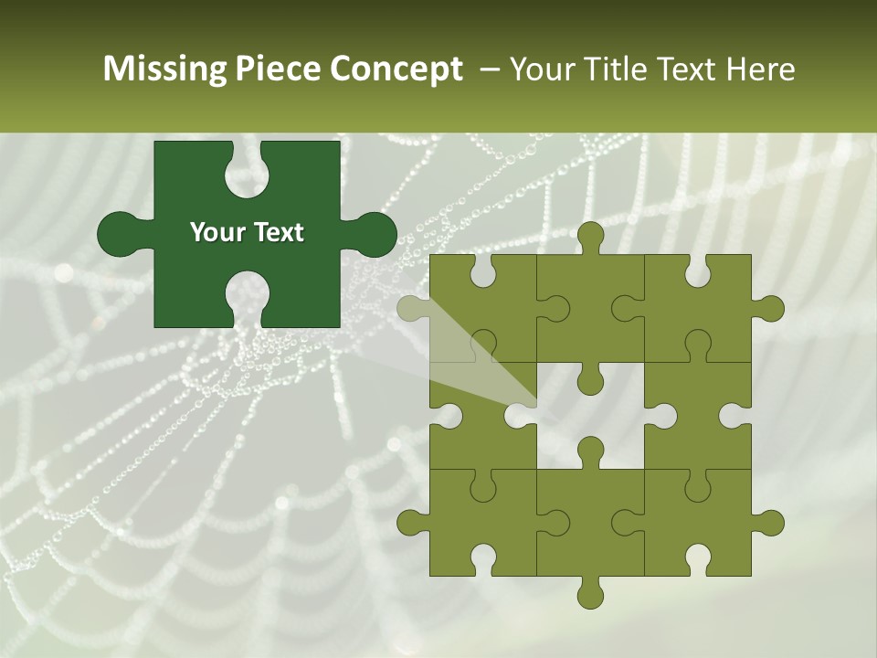 A Spider Web With Dew Drops On It PowerPoint Template