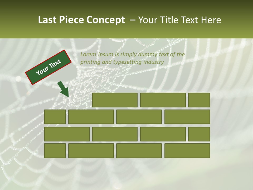 A Spider Web With Dew Drops On It PowerPoint Template