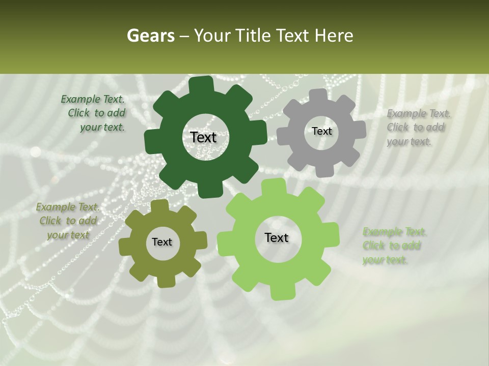 A Spider Web With Dew Drops On It PowerPoint Template