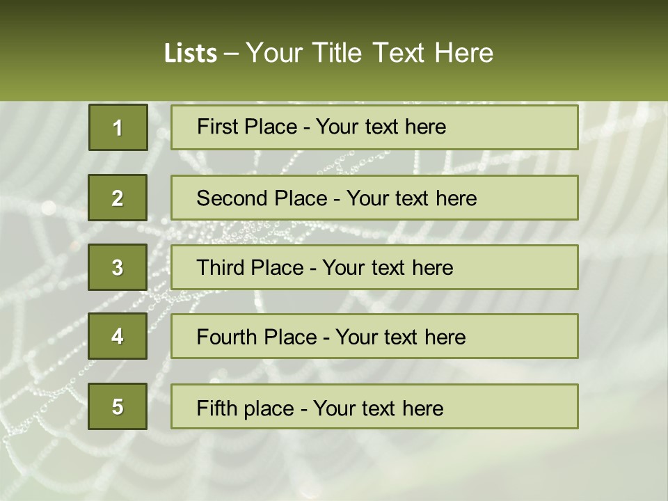 A Spider Web With Dew Drops On It PowerPoint Template