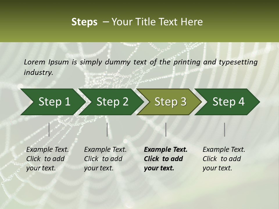 A Spider Web With Dew Drops On It PowerPoint Template