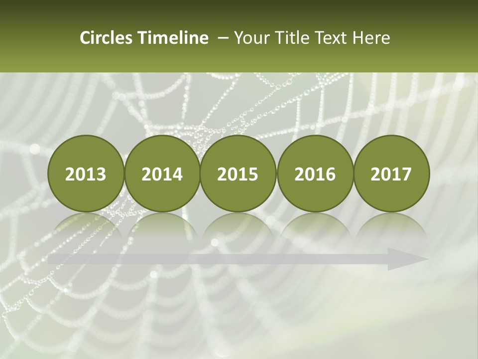 A Spider Web With Dew Drops On It PowerPoint Template