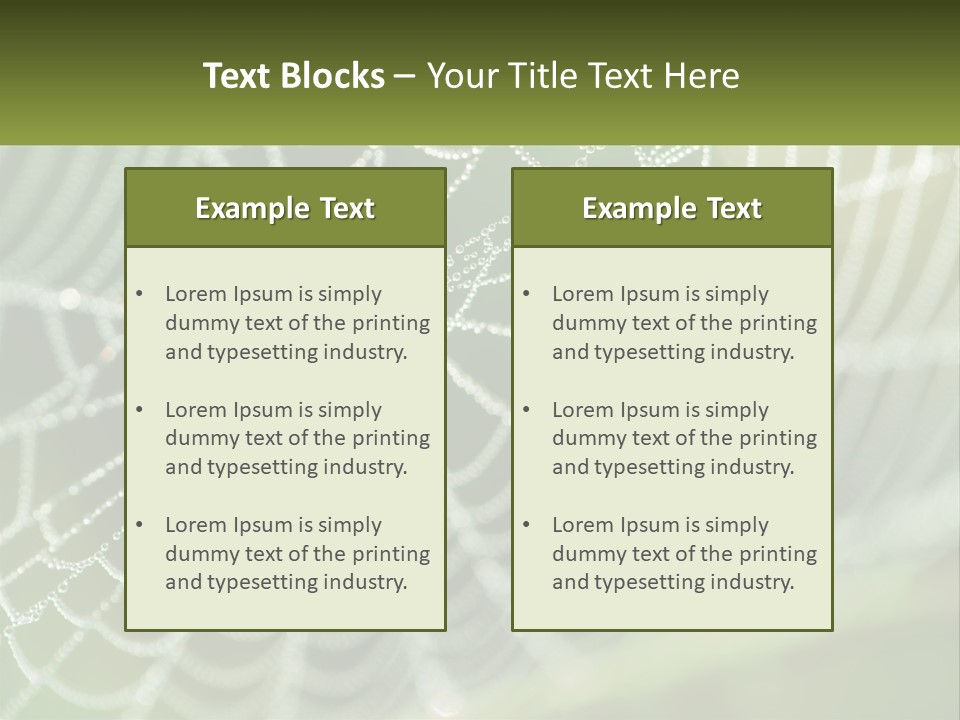 A Spider Web With Dew Drops On It PowerPoint Template