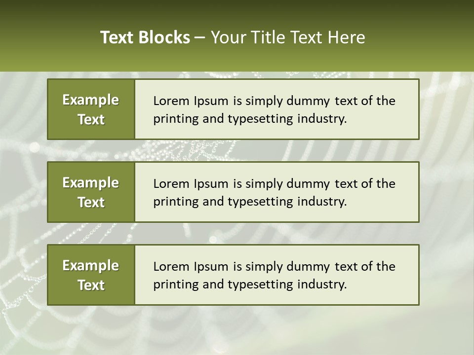 A Spider Web With Dew Drops On It PowerPoint Template