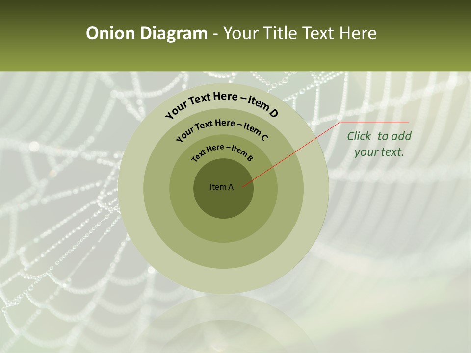 A Spider Web With Dew Drops On It PowerPoint Template