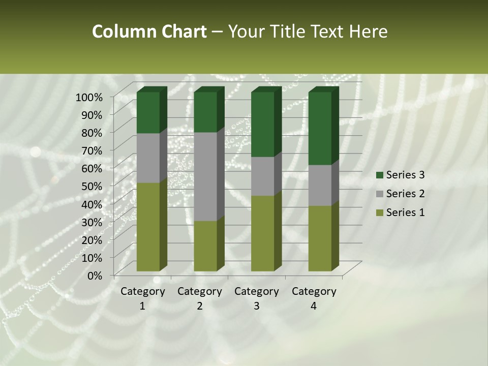 A Spider Web With Dew Drops On It PowerPoint Template