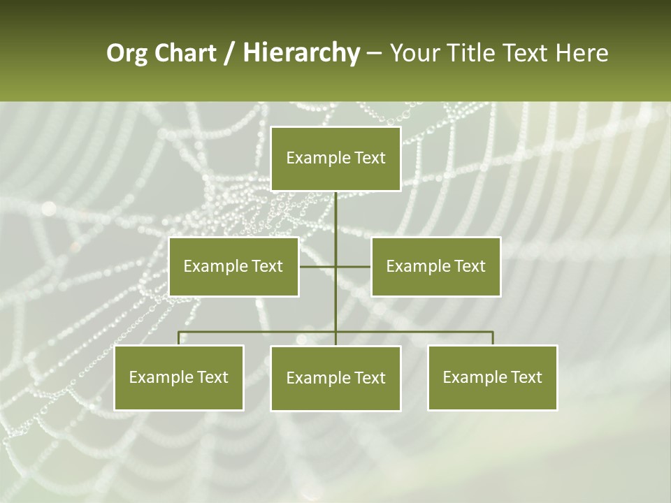 A Spider Web With Dew Drops On It PowerPoint Template
