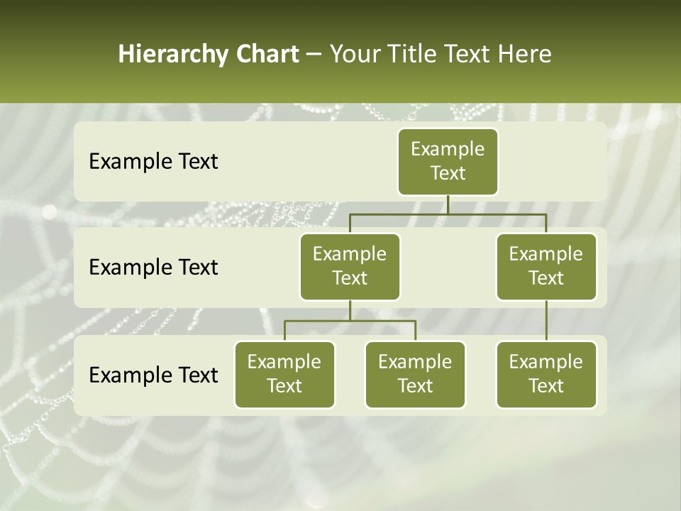 A Spider Web With Dew Drops On It PowerPoint Template