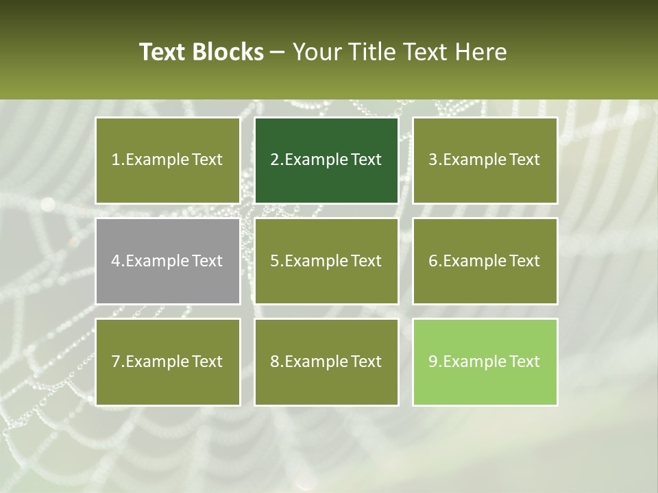 A Spider Web With Dew Drops On It PowerPoint Template