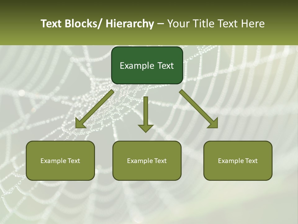 A Spider Web With Dew Drops On It PowerPoint Template