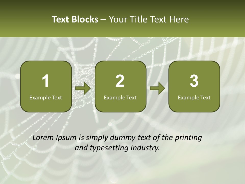 A Spider Web With Dew Drops On It PowerPoint Template