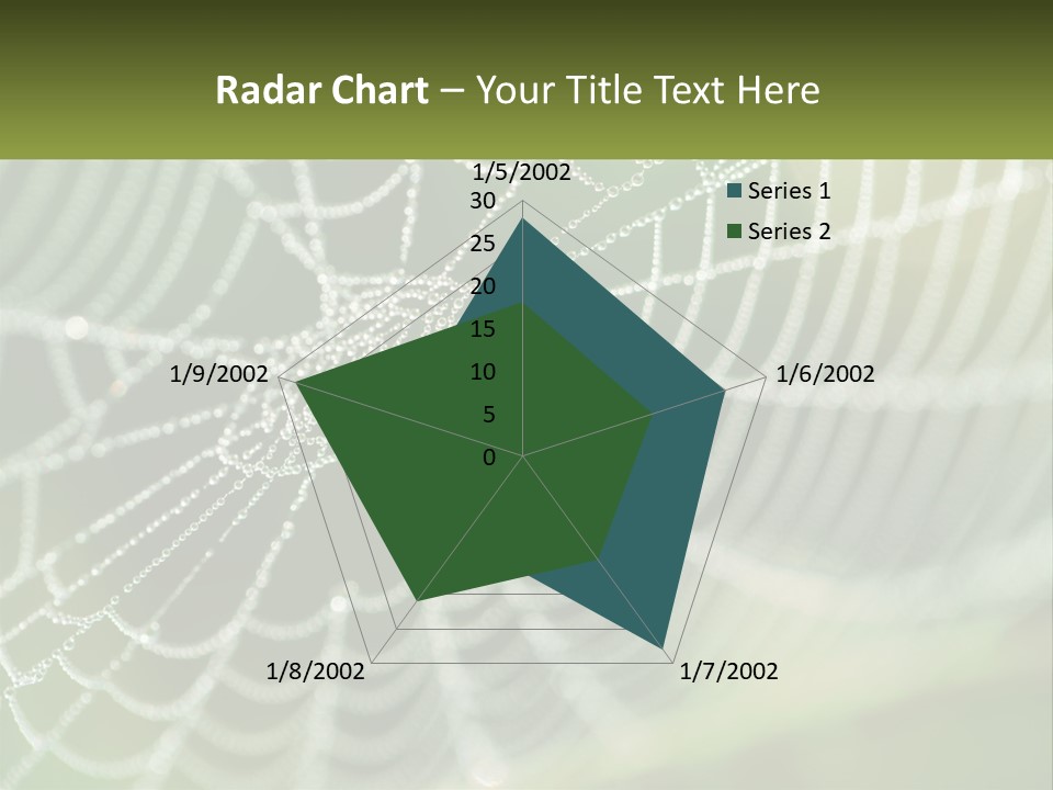A Spider Web With Dew Drops On It PowerPoint Template