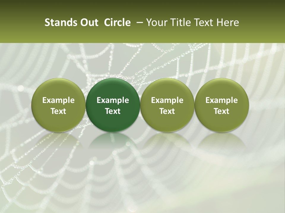 A Spider Web With Dew Drops On It PowerPoint Template