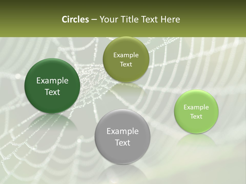 A Spider Web With Dew Drops On It PowerPoint Template