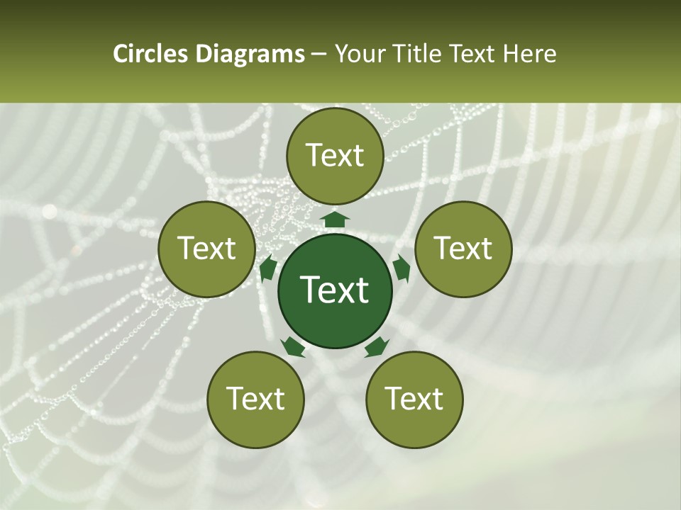 A Spider Web With Dew Drops On It PowerPoint Template