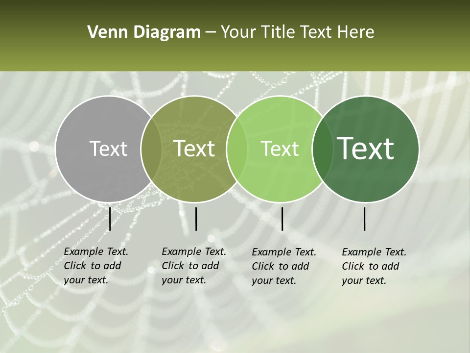 A Spider Web With Dew Drops On It PowerPoint Template