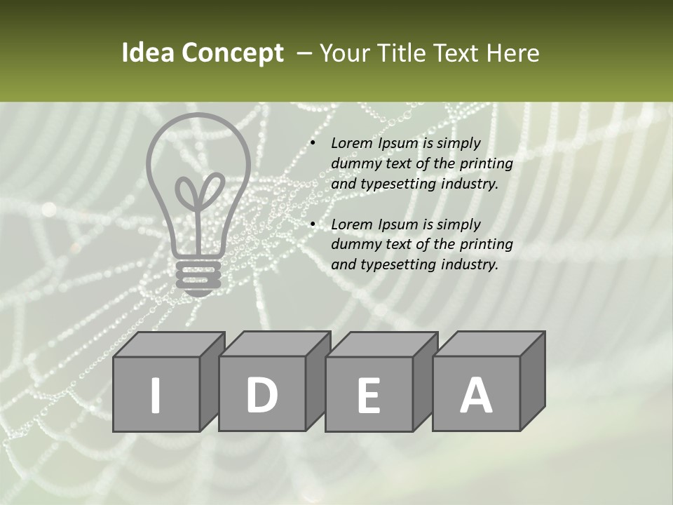 A Spider Web With Dew Drops On It PowerPoint Template