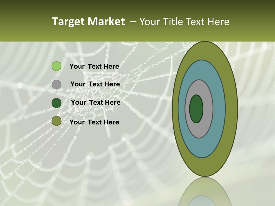A Spider Web With Dew Drops On It PowerPoint Template