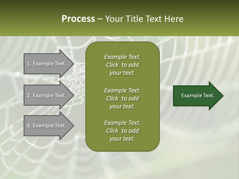 A Spider Web With Dew Drops On It PowerPoint Template