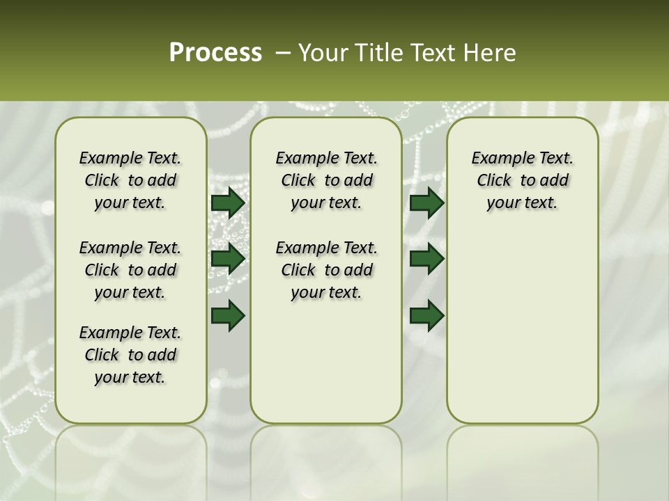 A Spider Web With Dew Drops On It PowerPoint Template