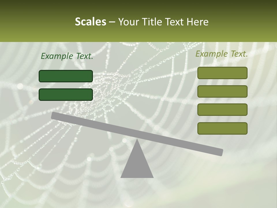 A Spider Web With Dew Drops On It PowerPoint Template