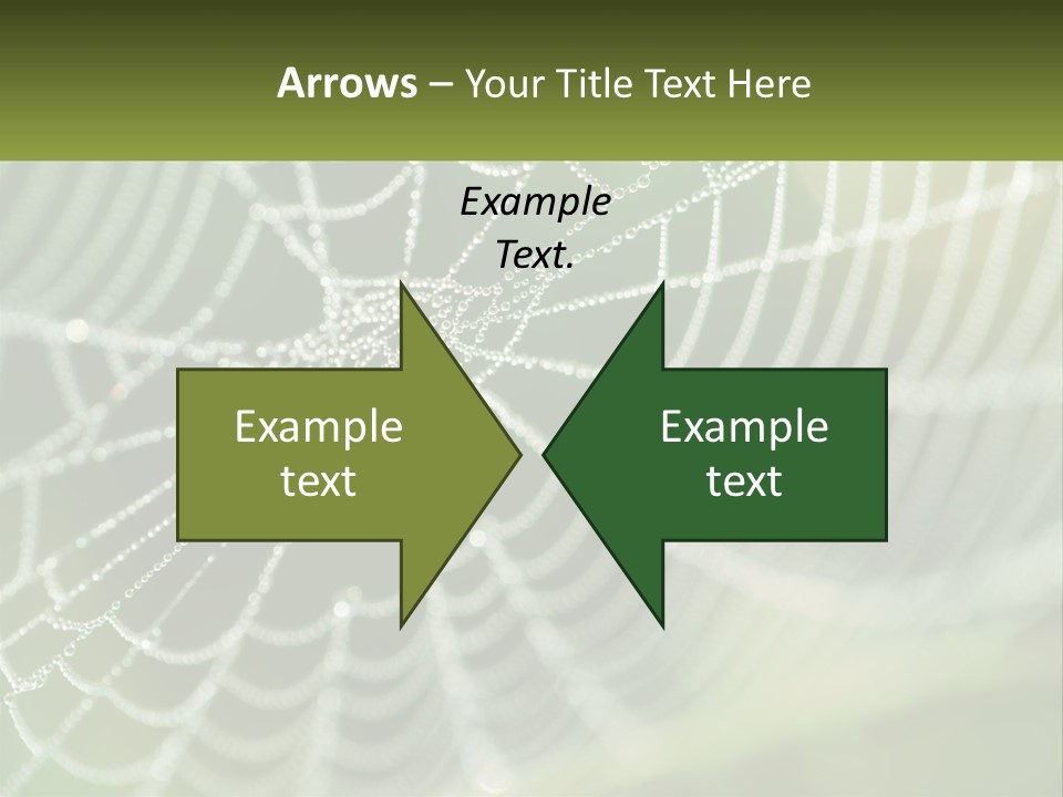 A Spider Web With Dew Drops On It PowerPoint Template