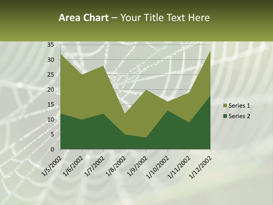 A Spider Web With Dew Drops On It PowerPoint Template
