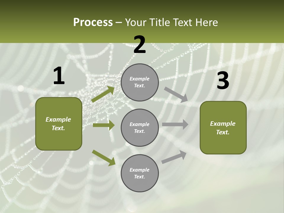 A Spider Web With Dew Drops On It PowerPoint Template