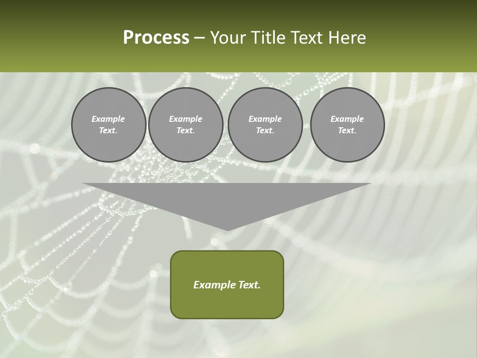 A Spider Web With Dew Drops On It PowerPoint Template