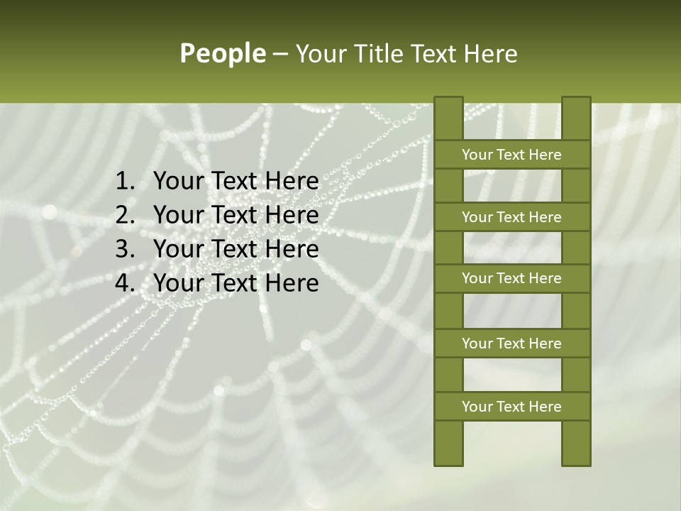 A Spider Web With Dew Drops On It PowerPoint Template