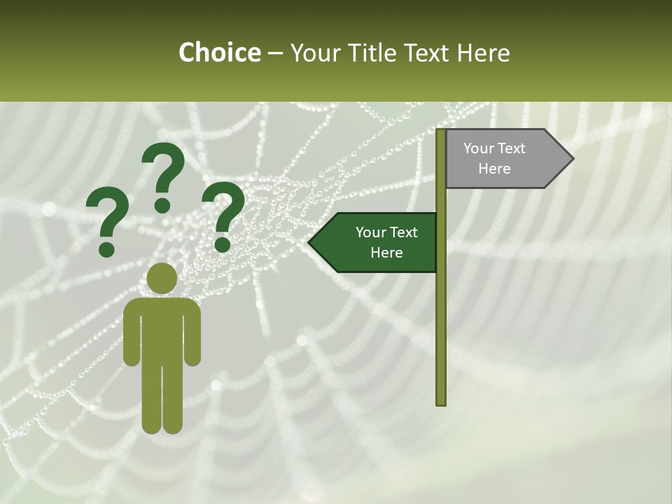 A Spider Web With Dew Drops On It PowerPoint Template